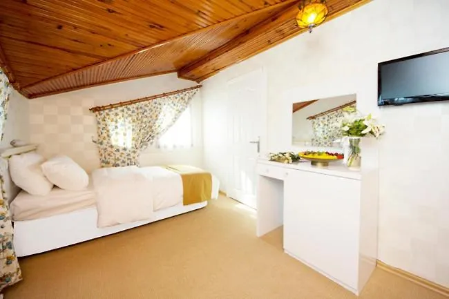 Ottoman Tulip Hotel Provincia di Istanbul